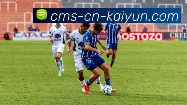 开云APP 体育赛事宣传图